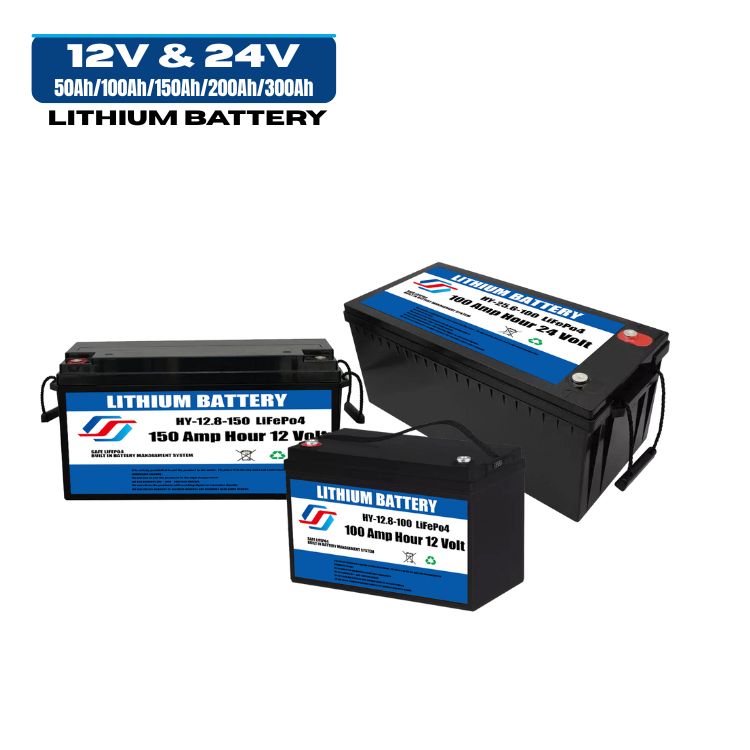 Rechargeable Deep Cycle Lithium Battery 12V 24V Lifepo4 Battery 48v (1)